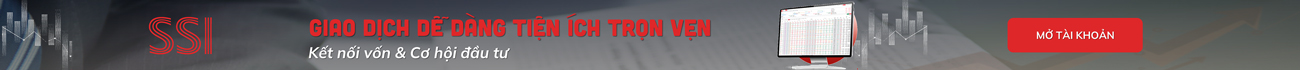 SSI Banner 2